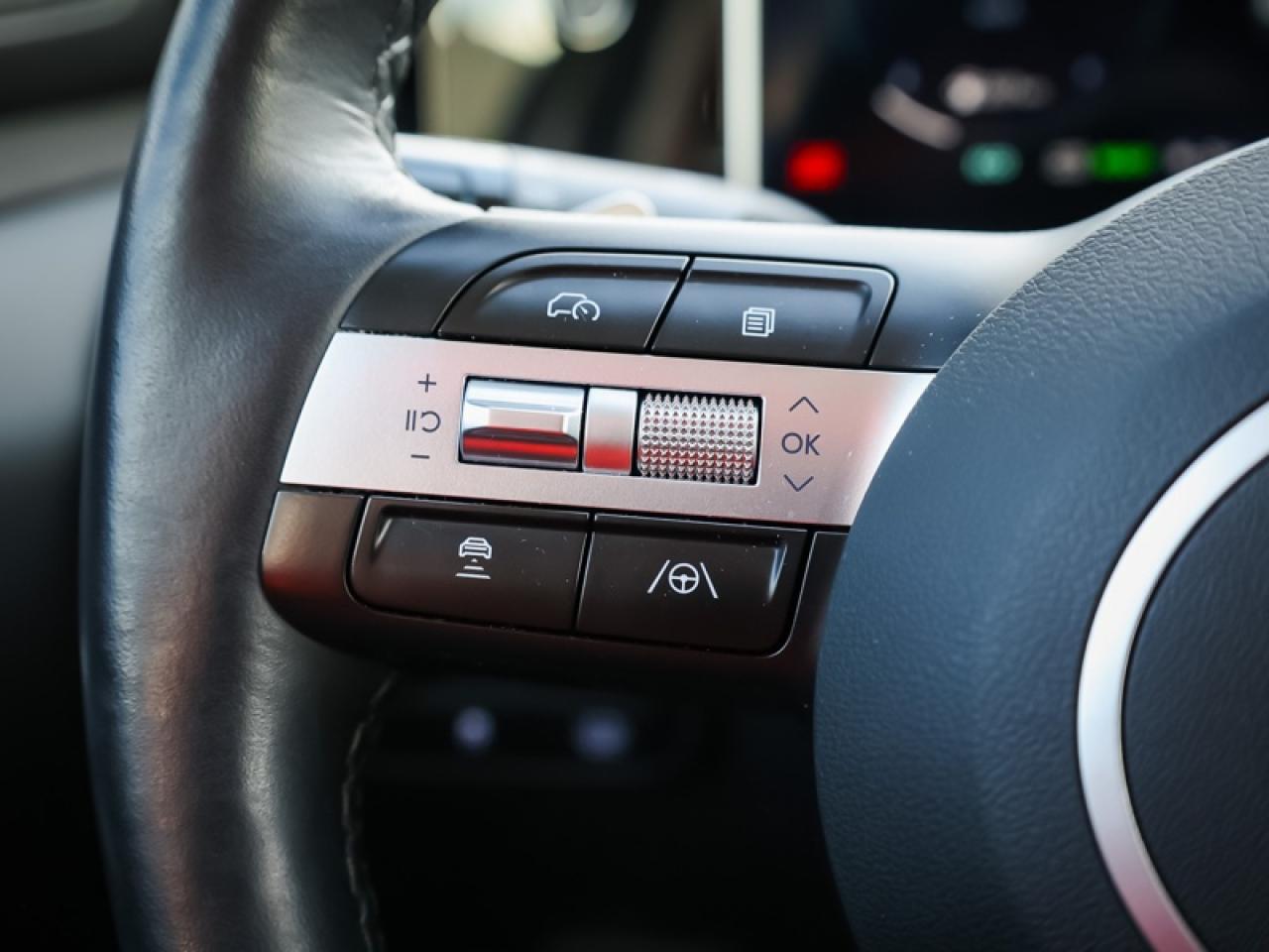 2025 Hyundai Tucson Hybrid Ultimate AWD  - Sunroof - $279 B/W Photo