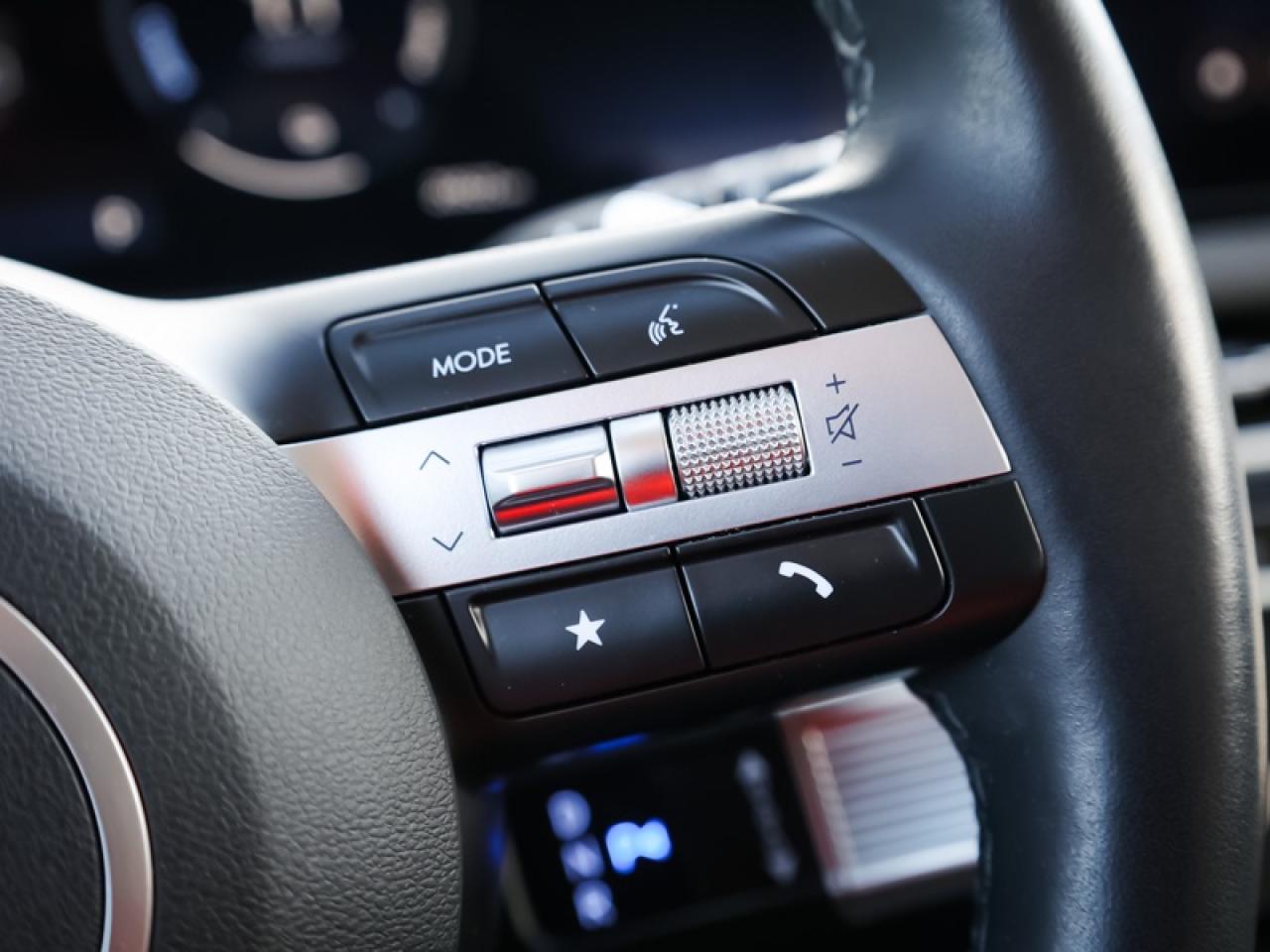 2025 Hyundai Tucson Hybrid Ultimate AWD  - Sunroof - $279 B/W Photo