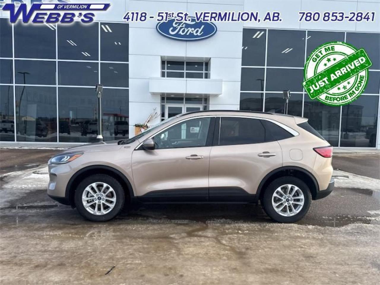 2021 Ford Escape SEL AWD Photo0