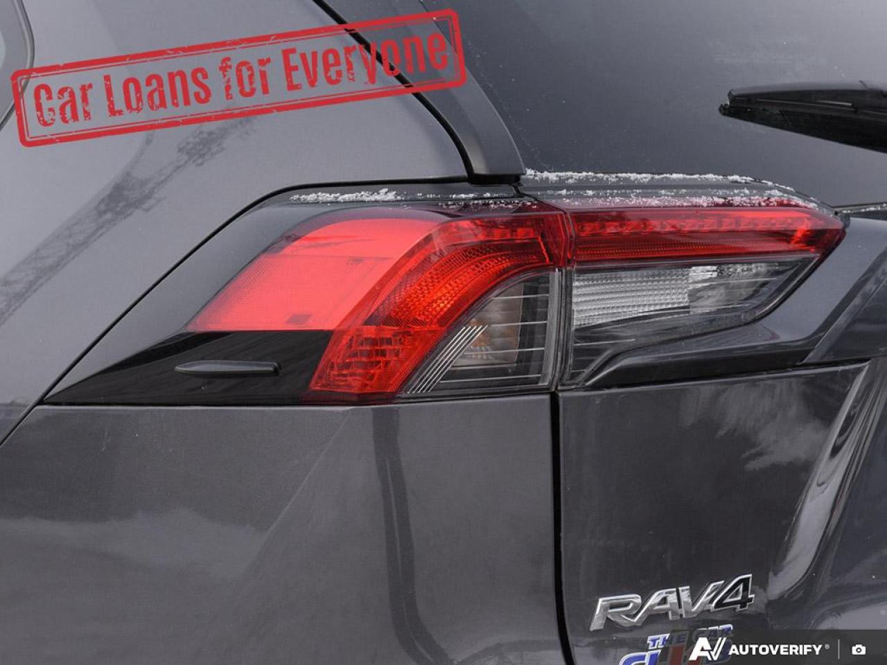 2024 Toyota RAV4 LE Photo