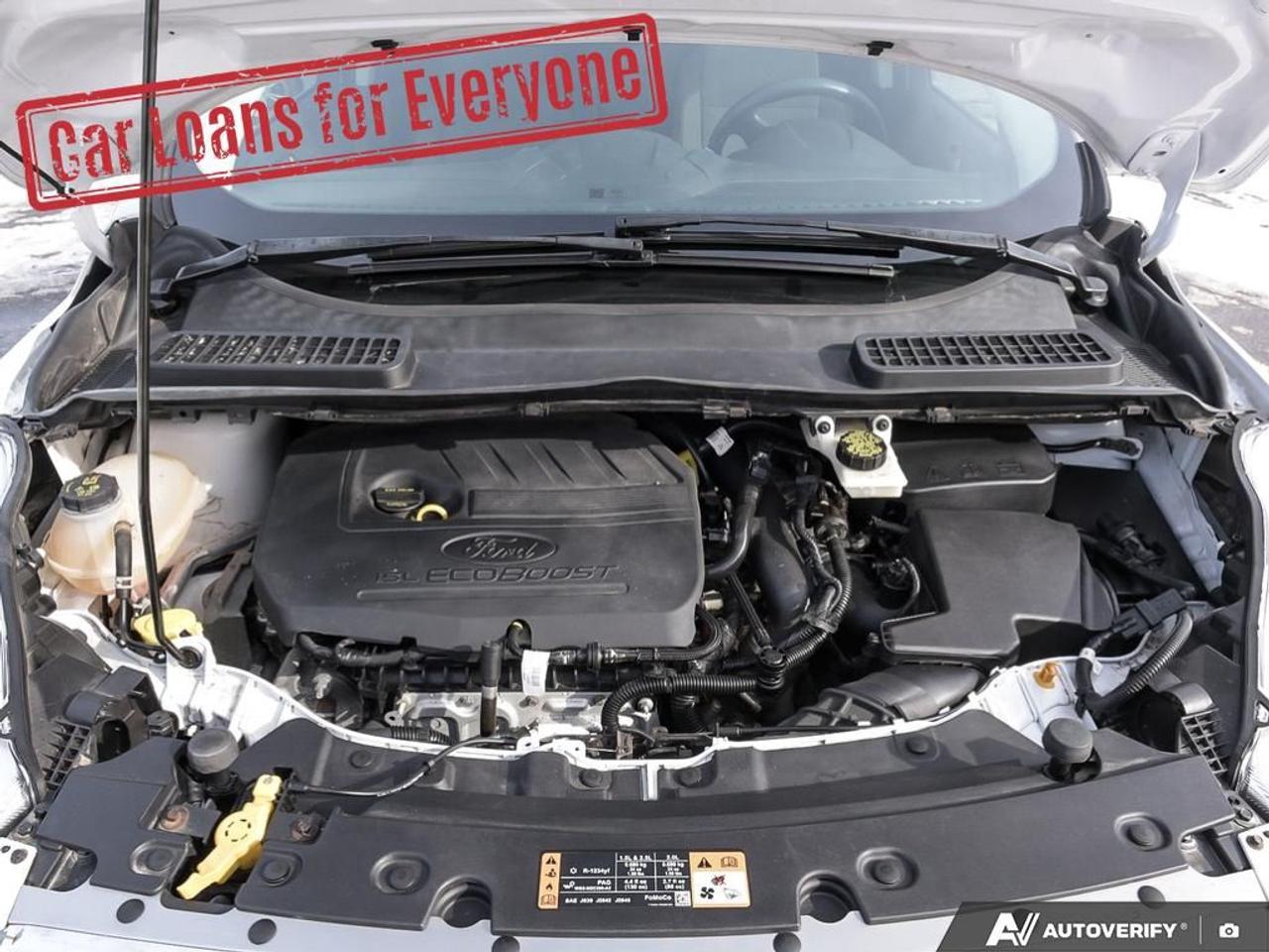 2017 Ford Escape SE Photo