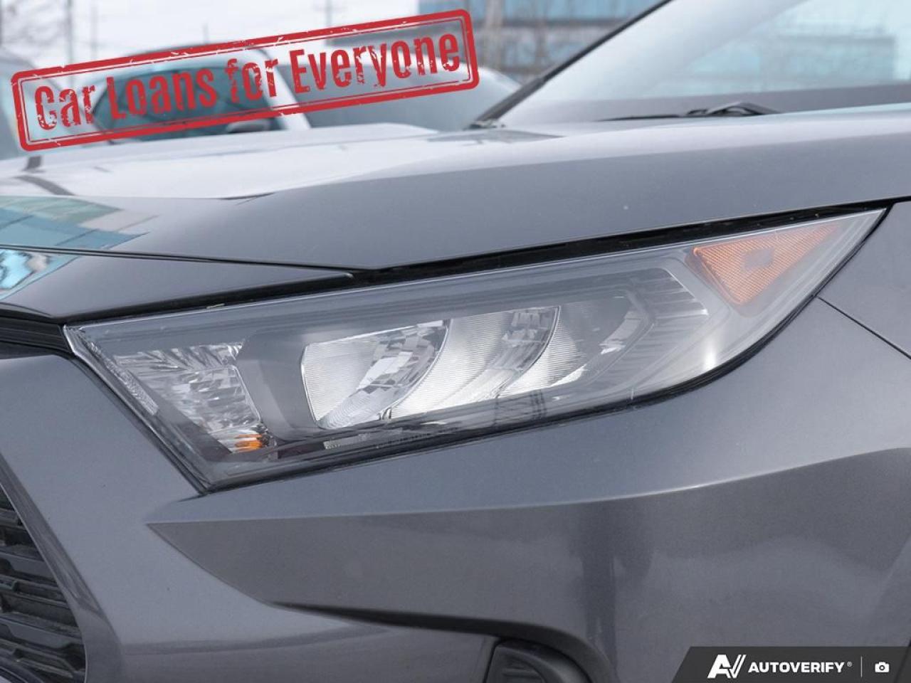 2024 Toyota RAV4 LE Photo