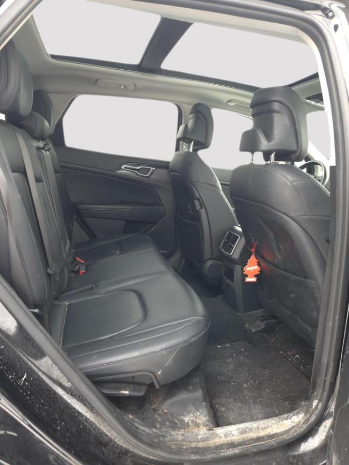 2024 Kia Sportage EX AWD Photo