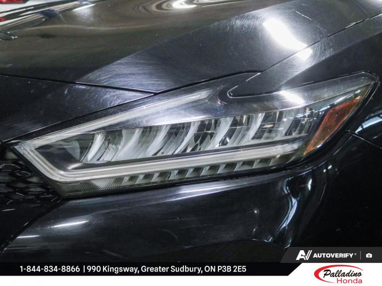 2023 Nissan Maxima SL Photo