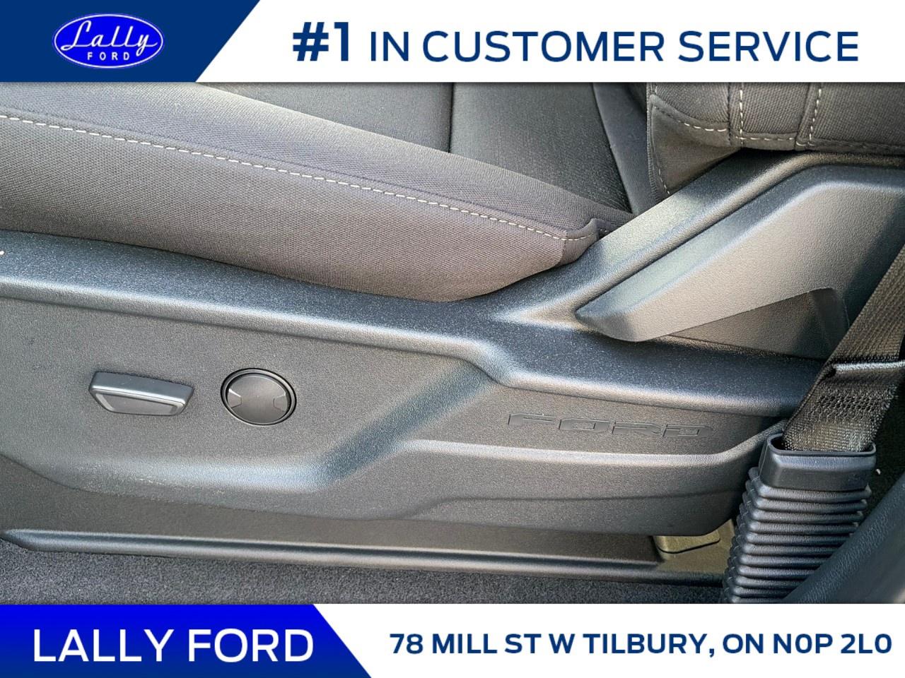 2026 Ford F-150 XLT 4WD SuperCrew 5.5' Box Photo