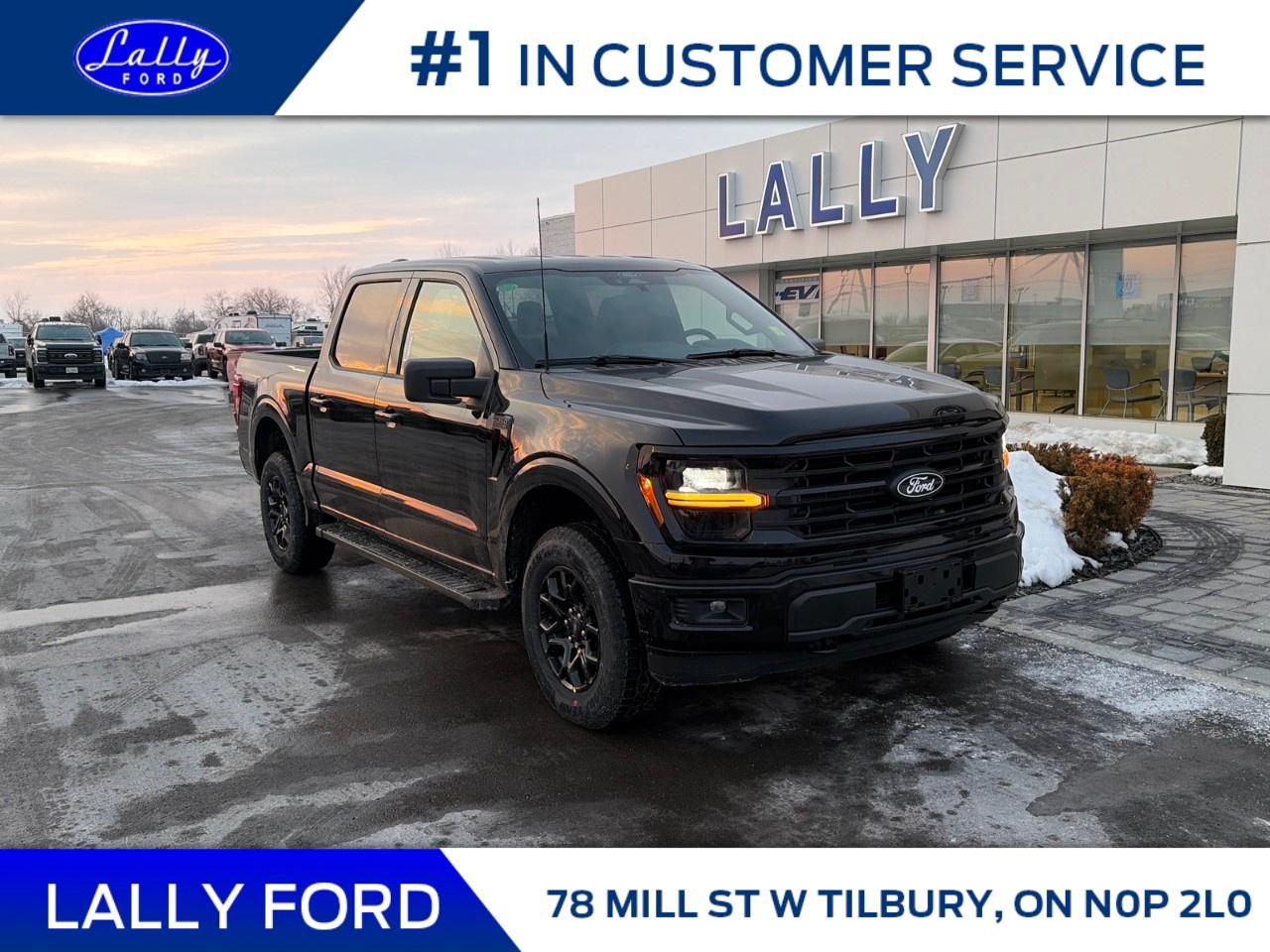 2026 Ford F-150 XLT 4WD SuperCrew 5.5' Box Photo0