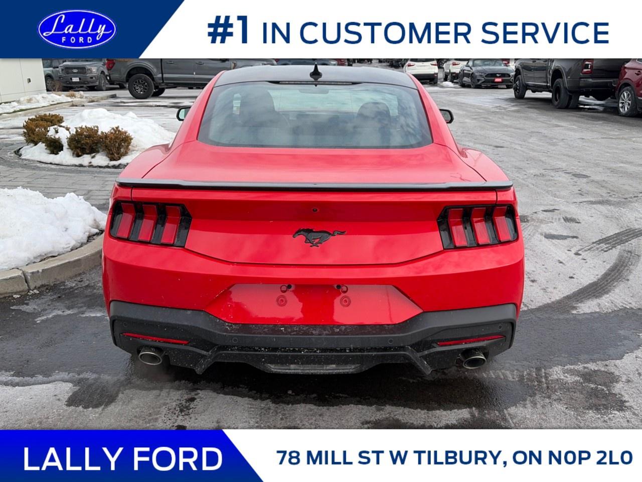 2026 Ford Mustang EcoBoost Fastback Photo3