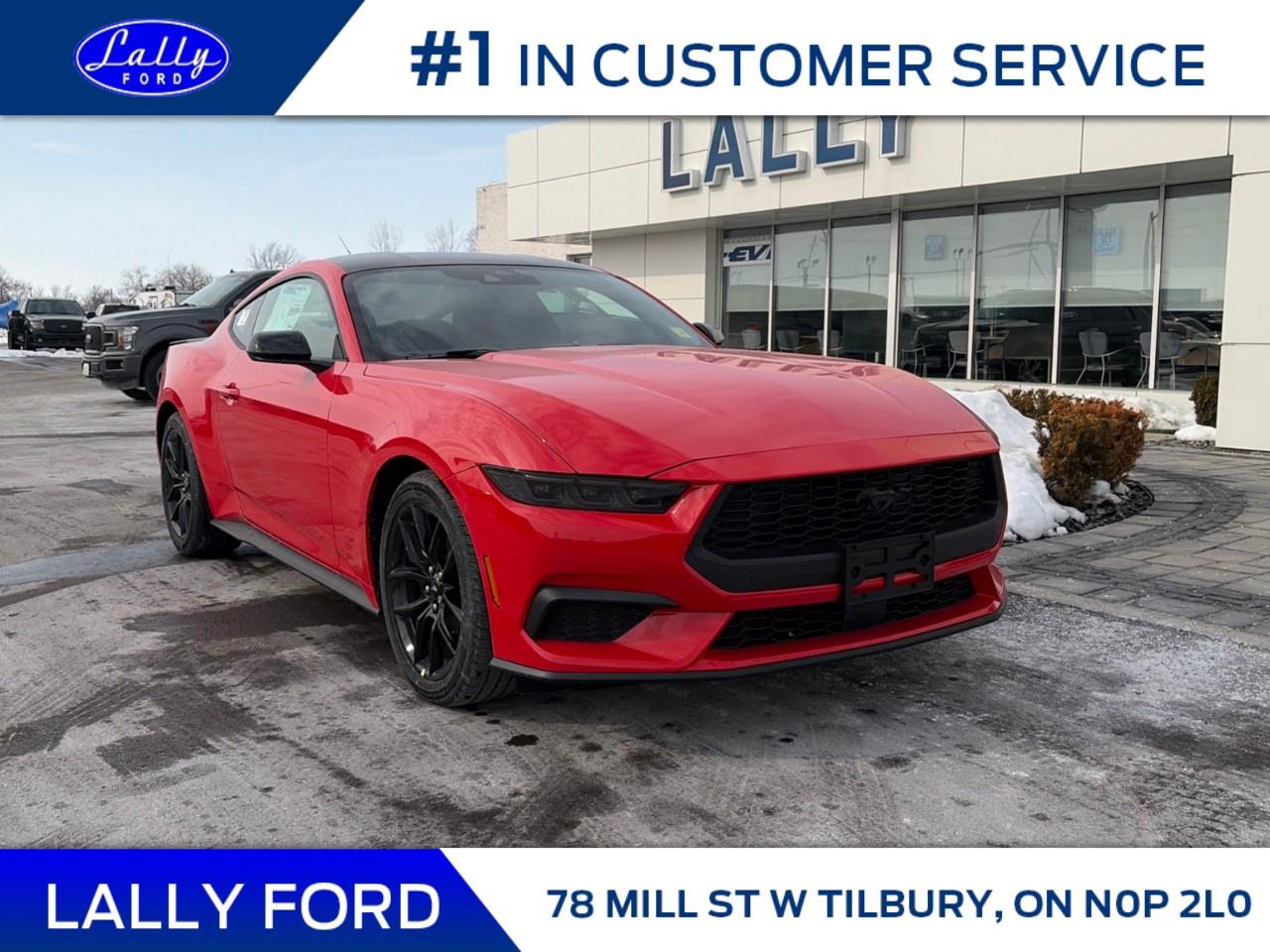 2026 Ford Mustang EcoBoost Fastback Photo0