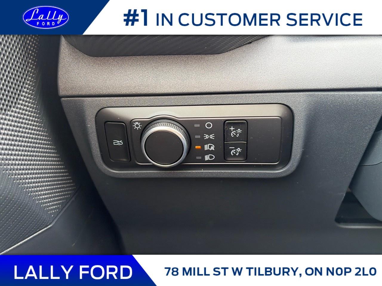 2026 Ford Mustang EcoBoost Fastback Photo