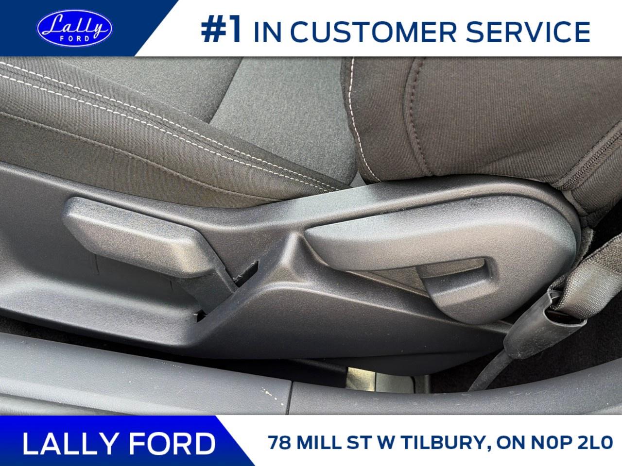 2026 Ford Mustang EcoBoost Fastback Photo