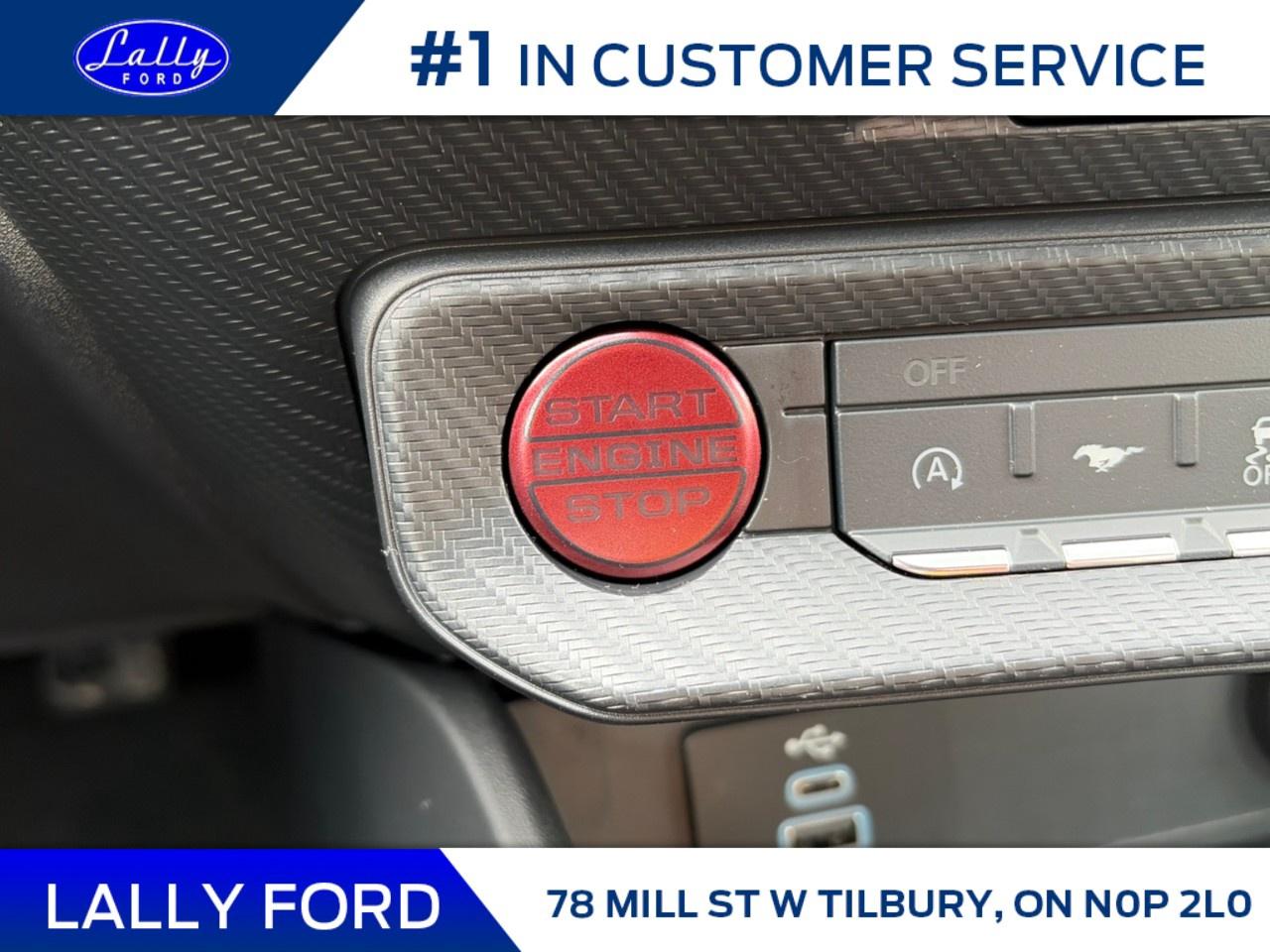 2026 Ford Mustang EcoBoost Fastback Photo