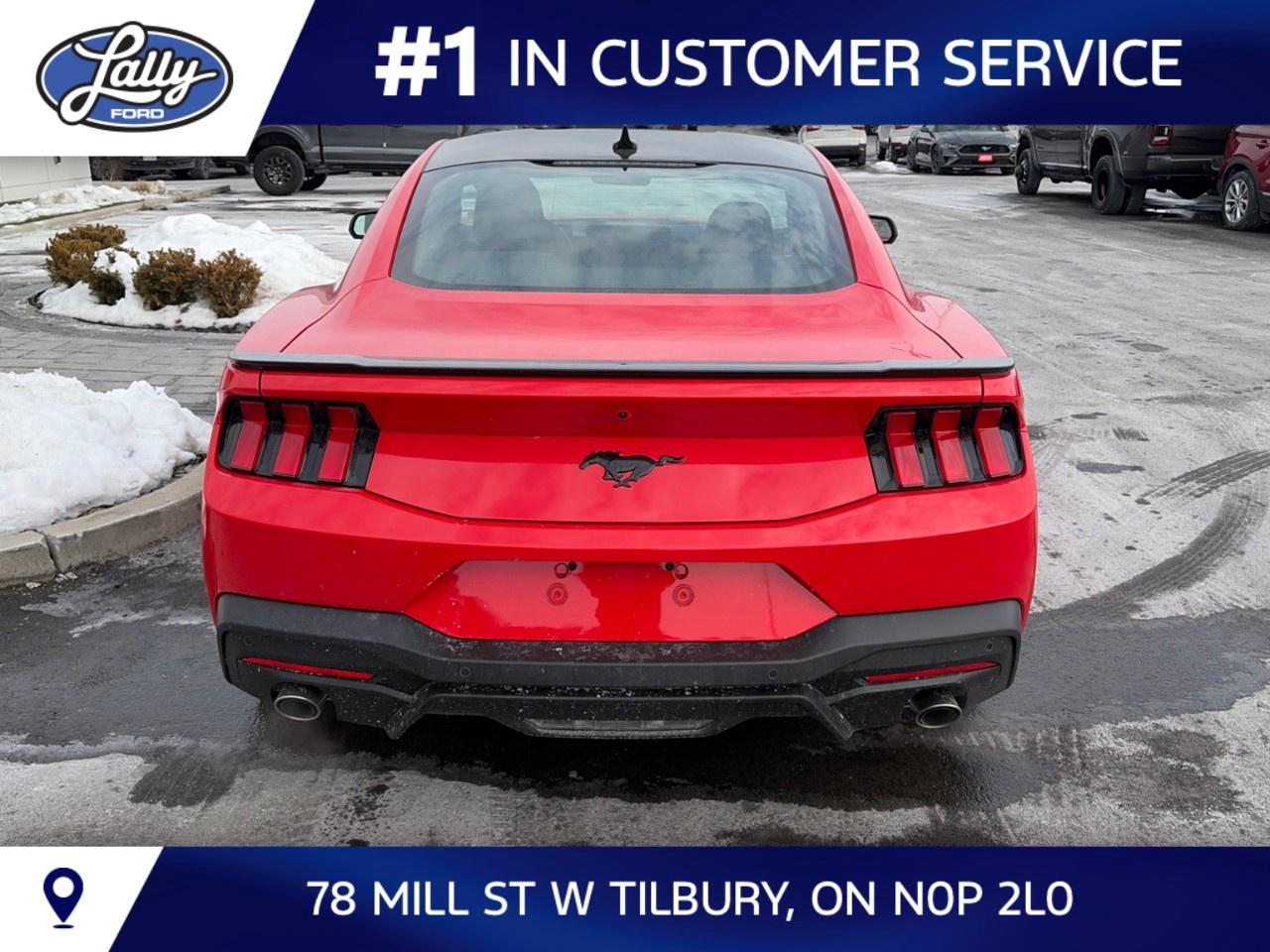 2026 Ford Mustang EcoBoost Fastback Photo
