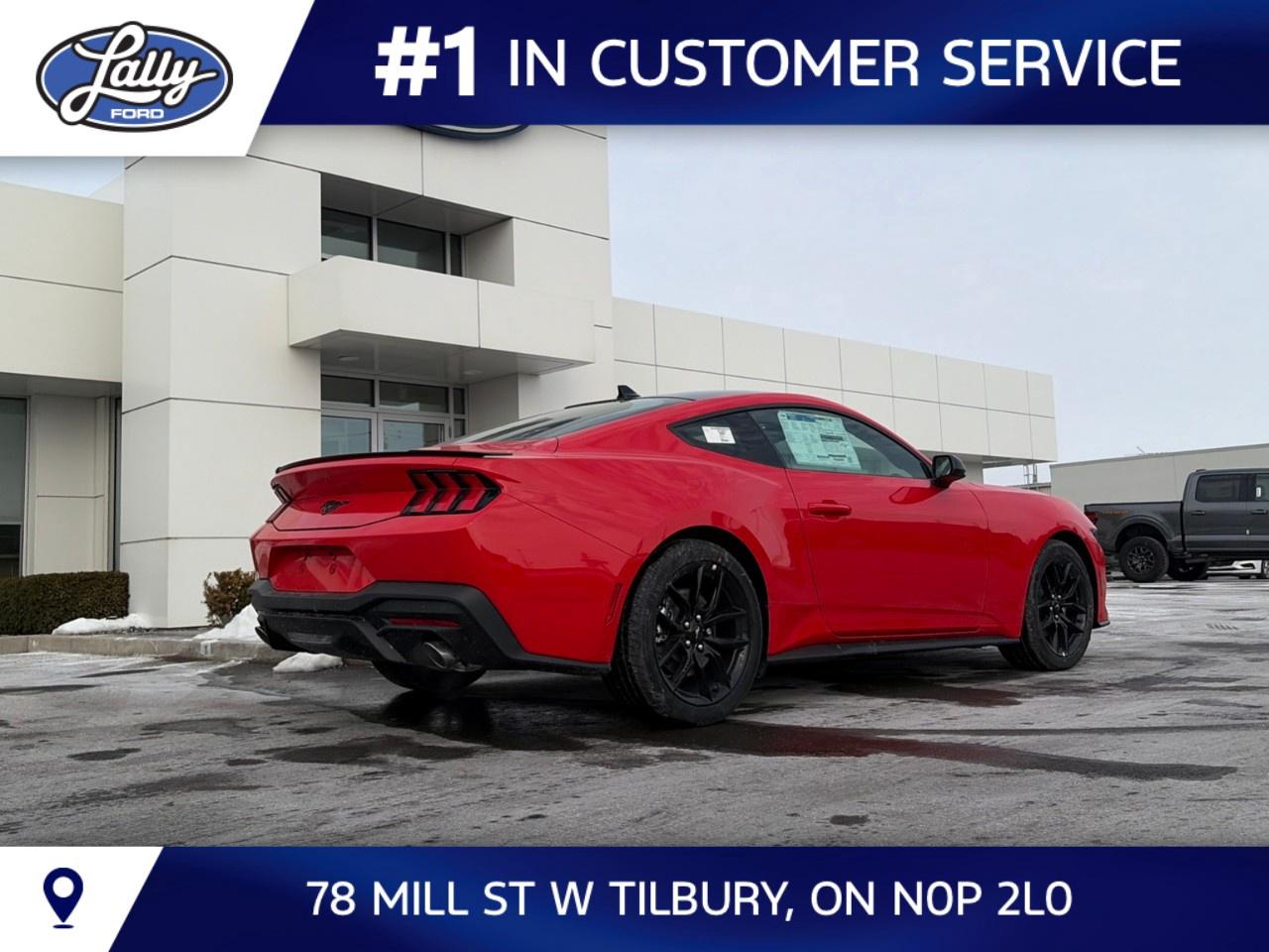2026 Ford Mustang EcoBoost Fastback Photo