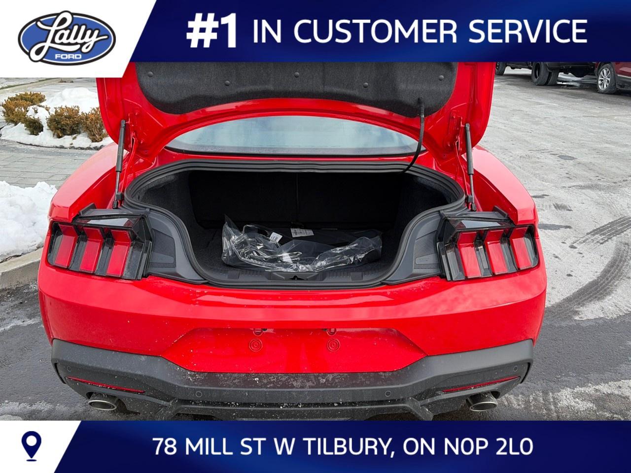 2026 Ford Mustang EcoBoost Fastback Photo