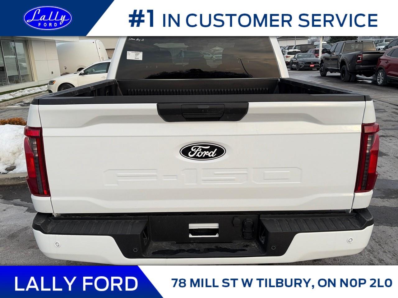 2026 Ford F-150 XLT 4WD SuperCrew 5.5' Box Photo