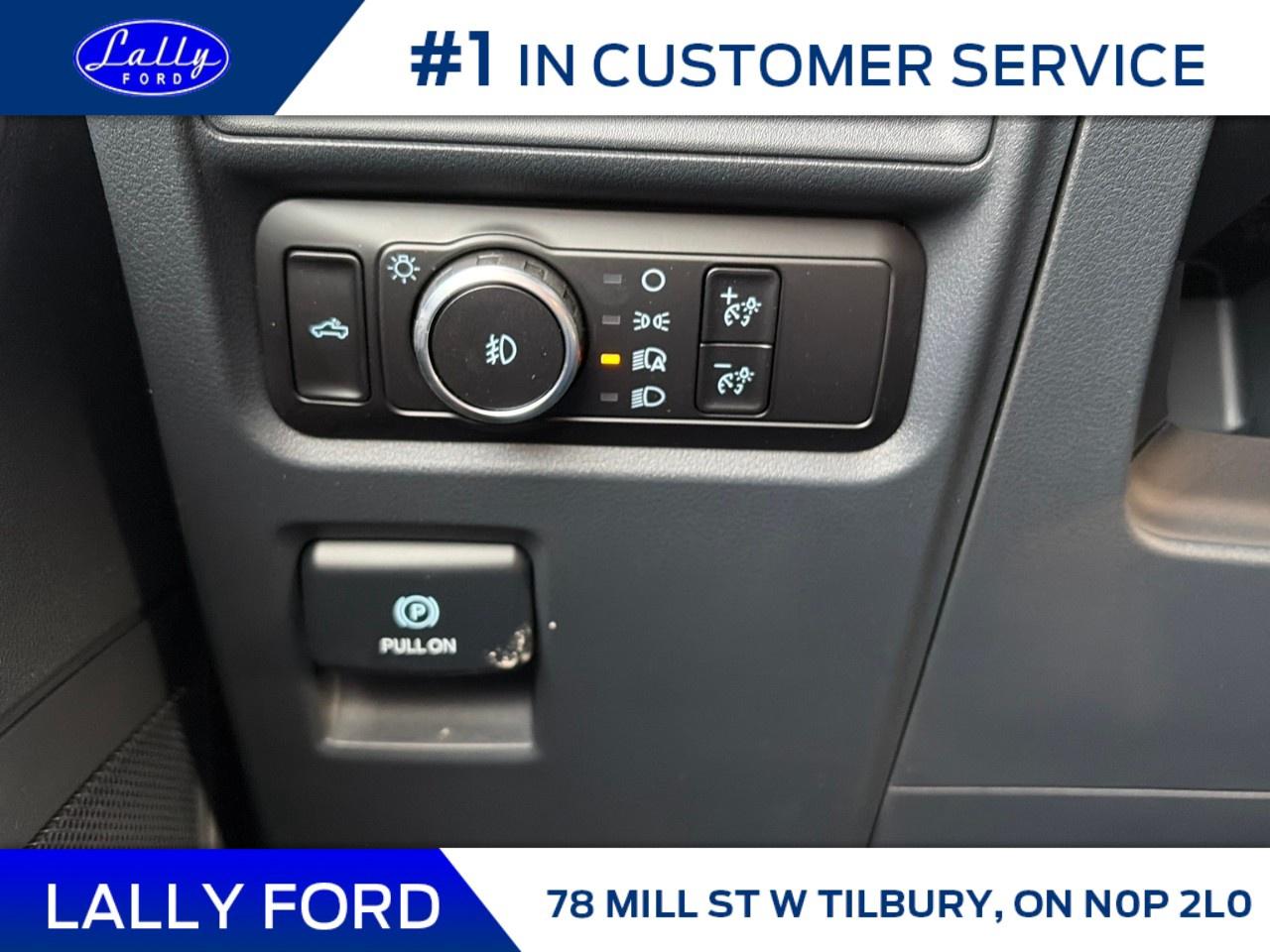 2026 Ford F-150 XLT 4WD SuperCrew 5.5' Box Photo