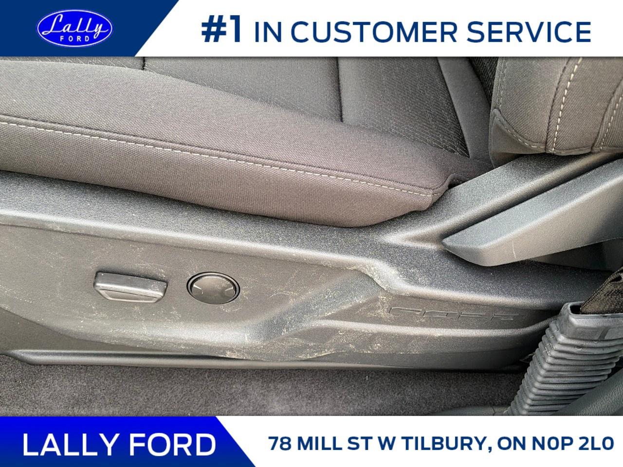 2026 Ford F-150 XLT 4WD SuperCrew 5.5' Box Photo