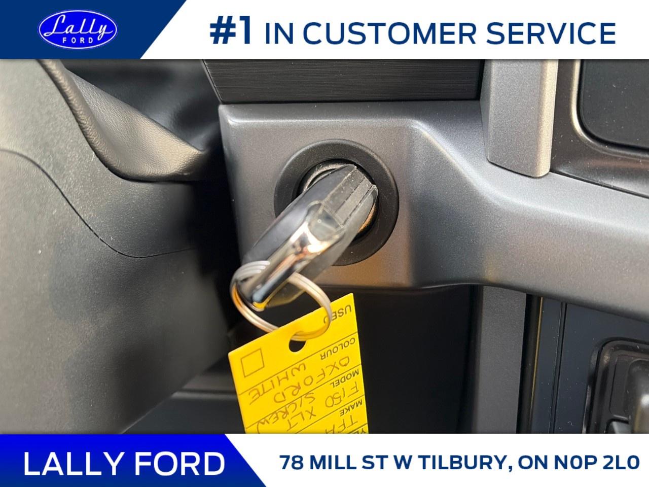 2026 Ford F-150 XLT 4WD SuperCrew 5.5' Box Photo