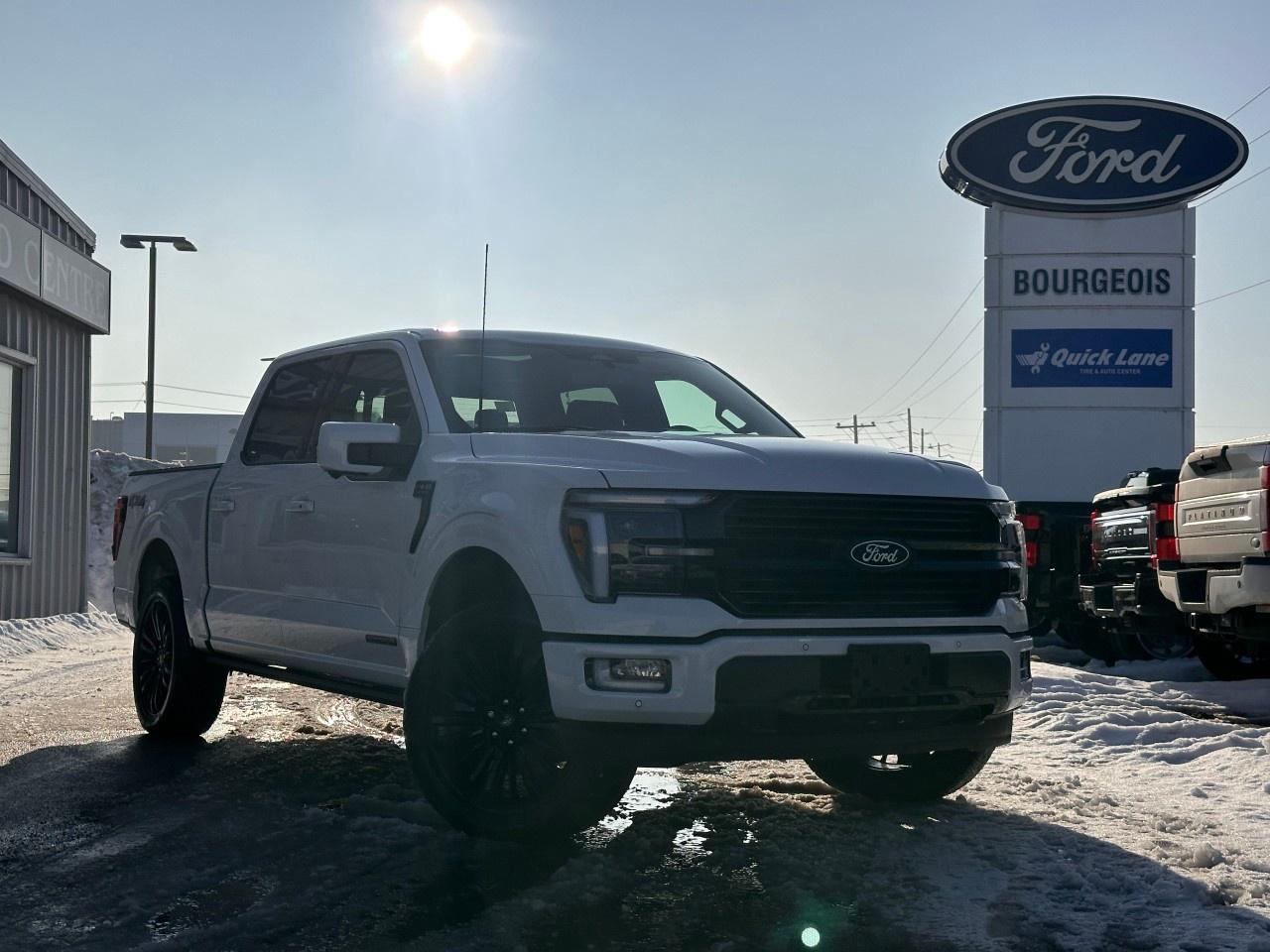 2026 Ford F-150 Platinum 4WD SuperCrew 5.5' Box Photo