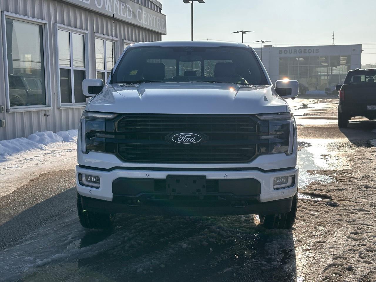 2026 Ford F-150 Platinum 4WD SuperCrew 5.5' Box Photo2