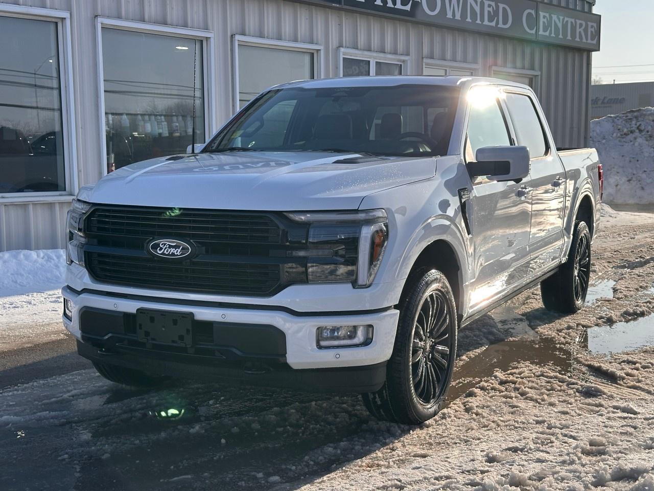 2026 Ford F-150 Platinum 4WD SuperCrew 5.5' Box Photo