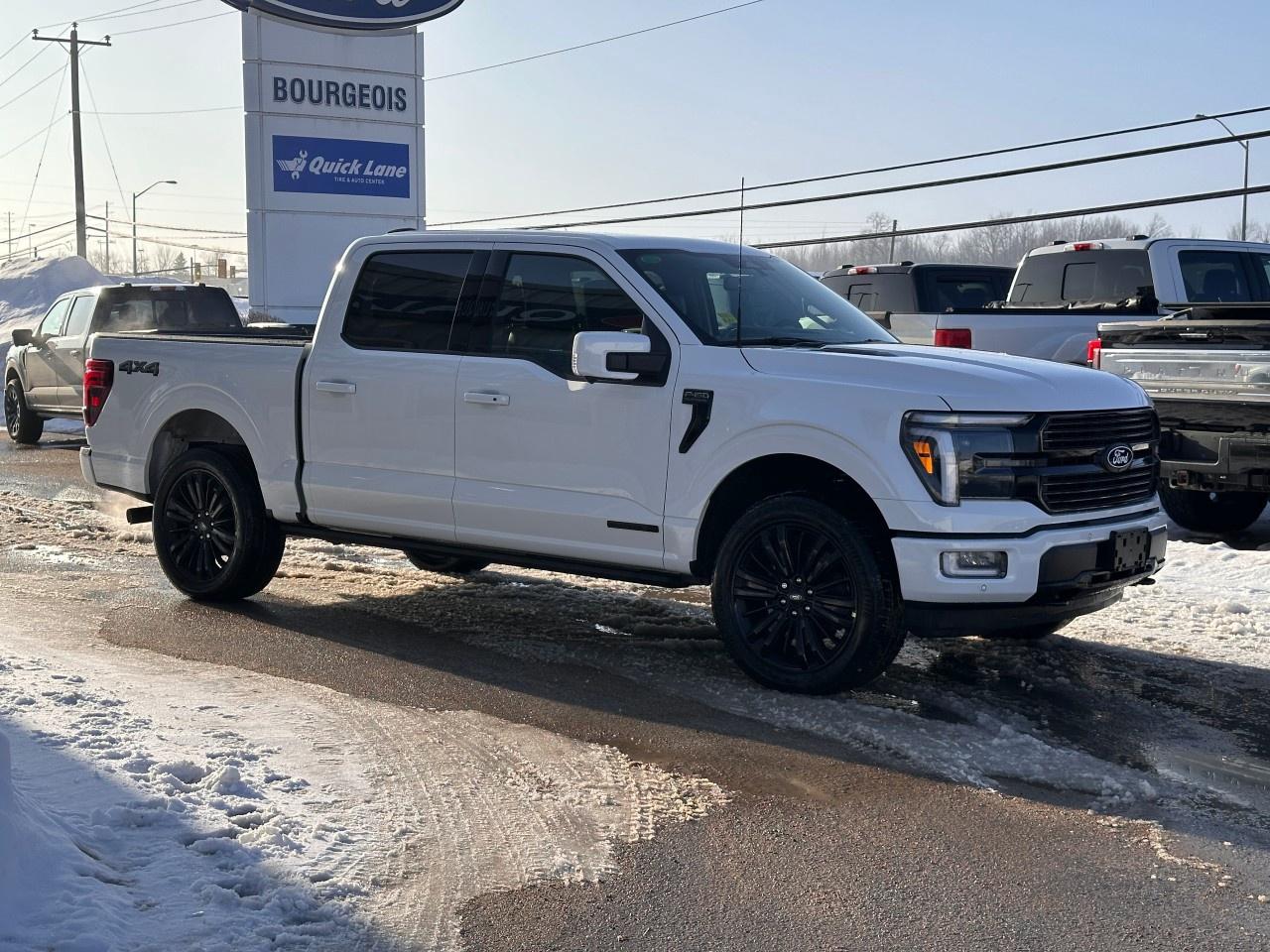 2026 Ford F-150 Platinum 4WD SuperCrew 5.5' Box Photo