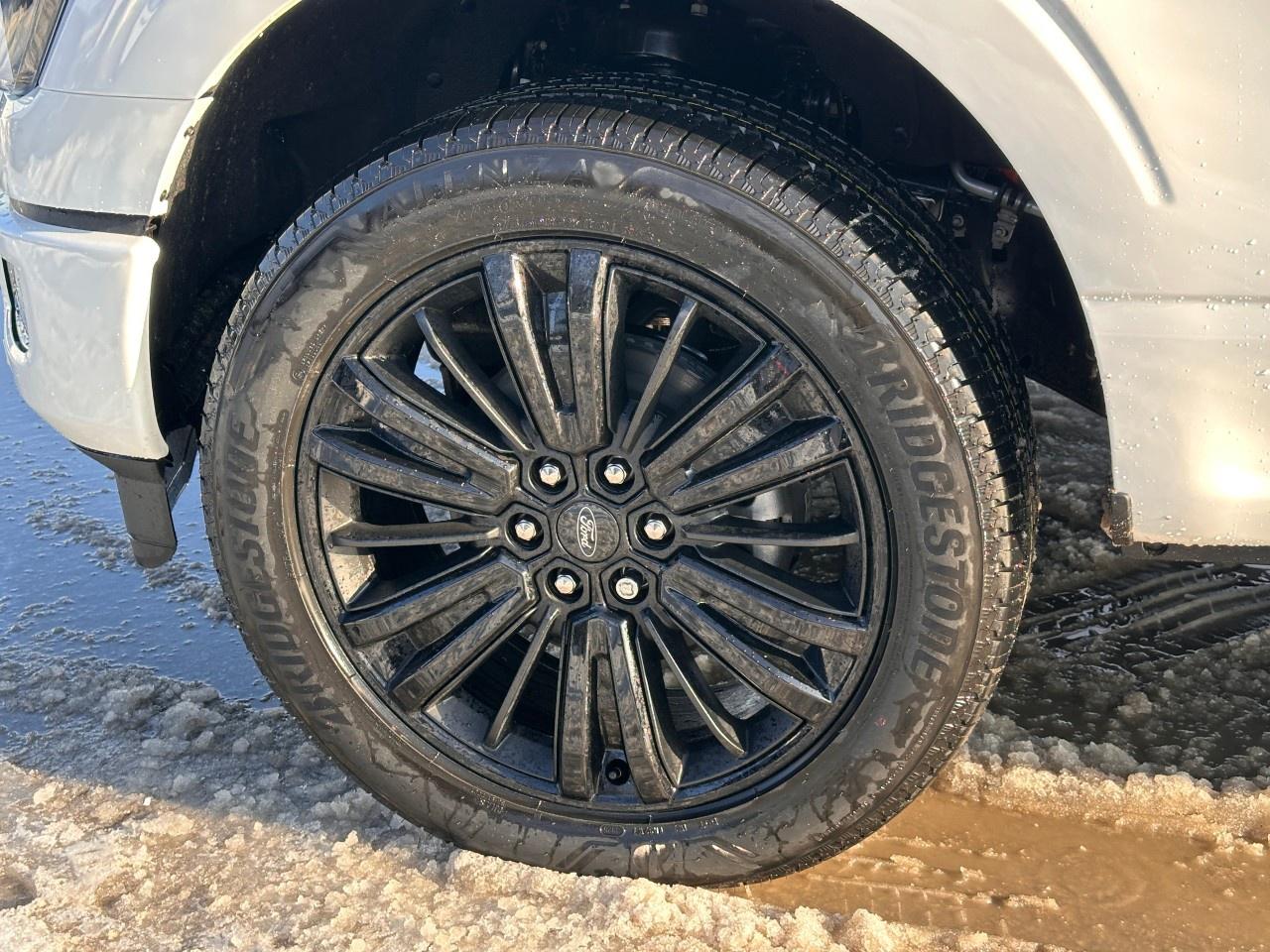 2026 Ford F-150 Platinum 4WD SuperCrew 5.5' Box Photo