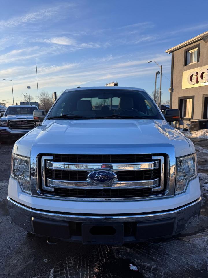 2013 Ford F-150 XLT | 4x4 | CERTIFIED | 42 SERVICE RECORDS Photo
