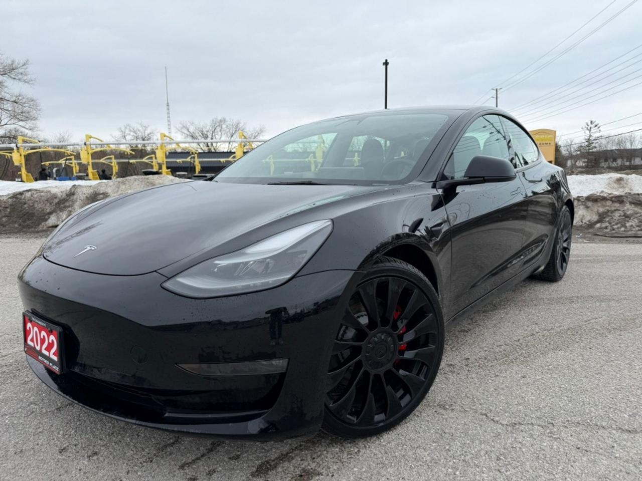2022 Tesla Model 3 PERFORMANCE PERFORMANCE Photo