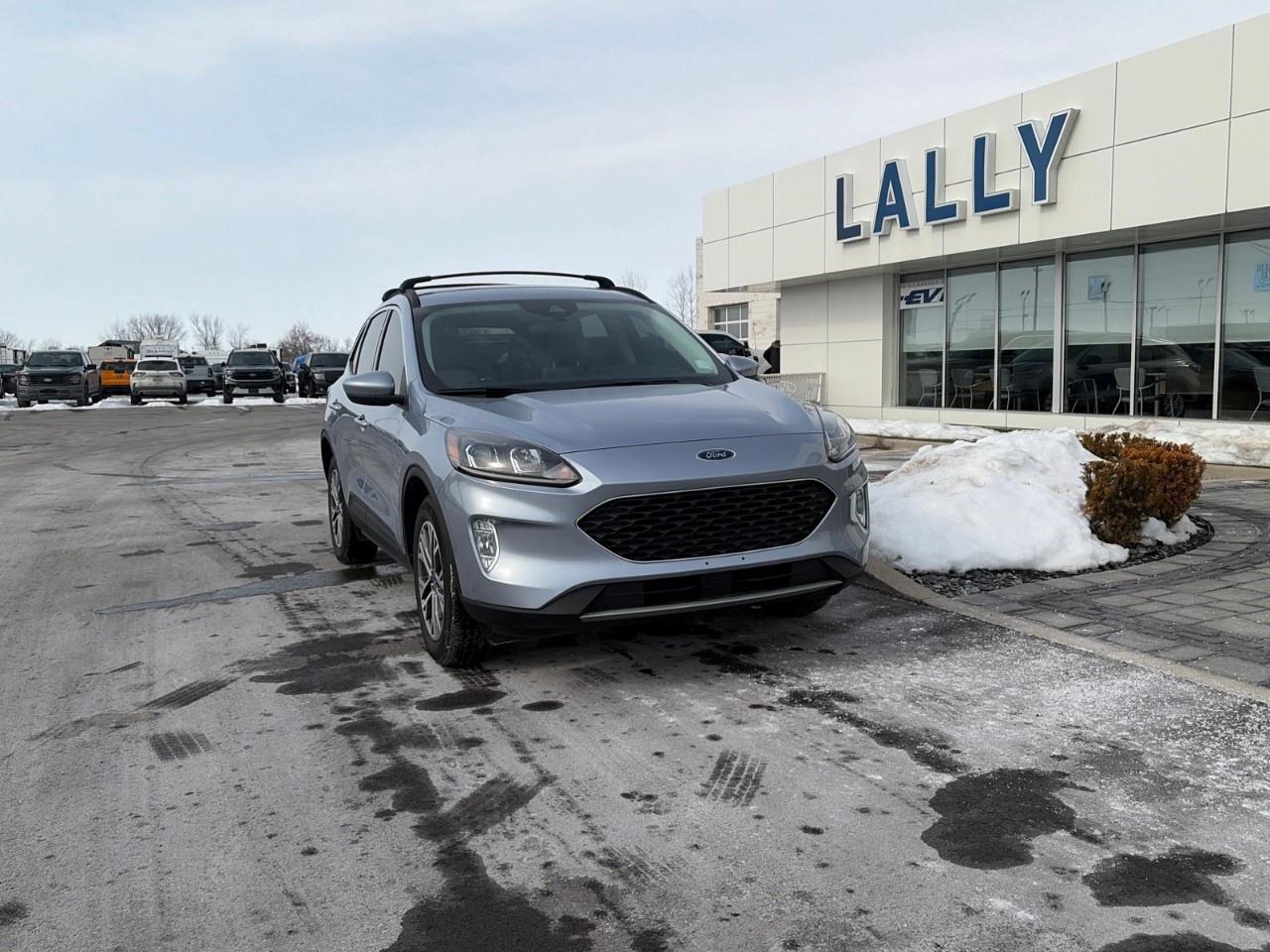 2022 Ford Escape SEL Hybrid AWD Photo