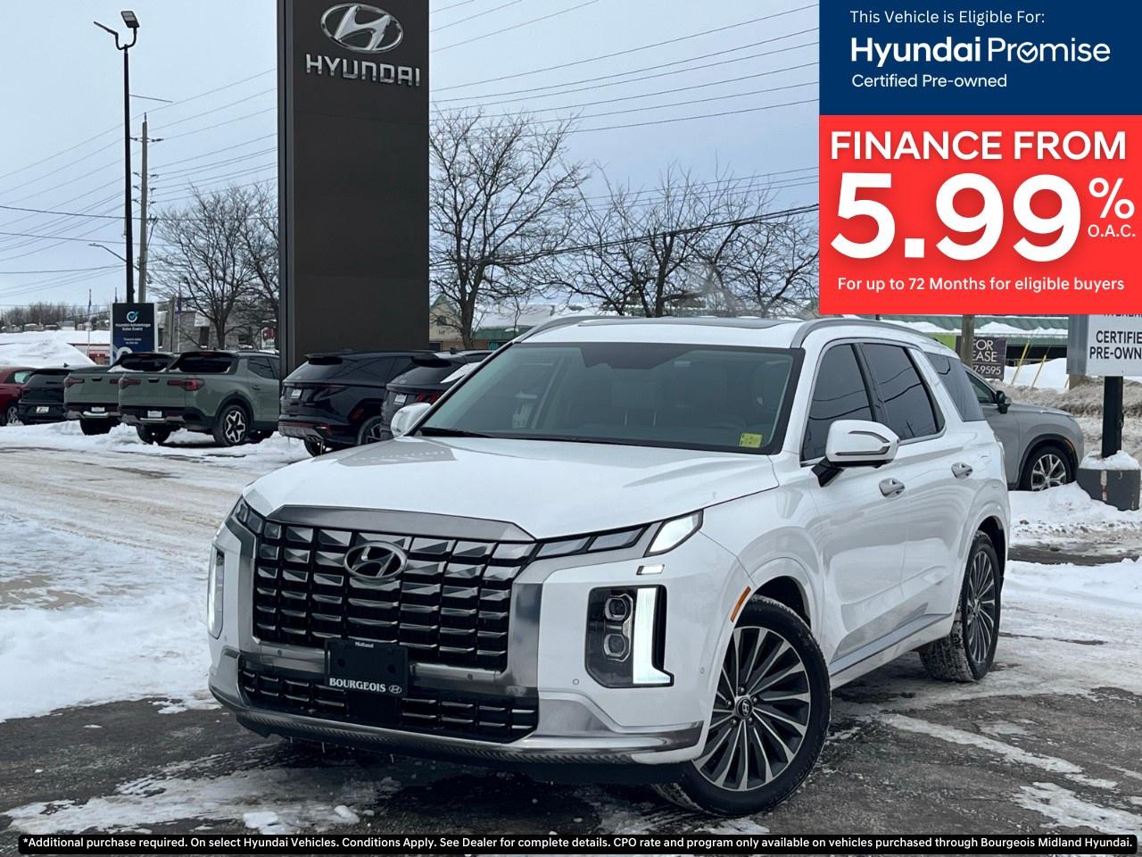 2024 Hyundai PALISADE Ultimate Calligraphy 7-Passenger AWD Photo