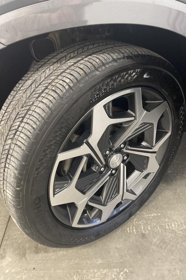 2021 Hyundai PALISADE Ultimate Calligraphy Photo