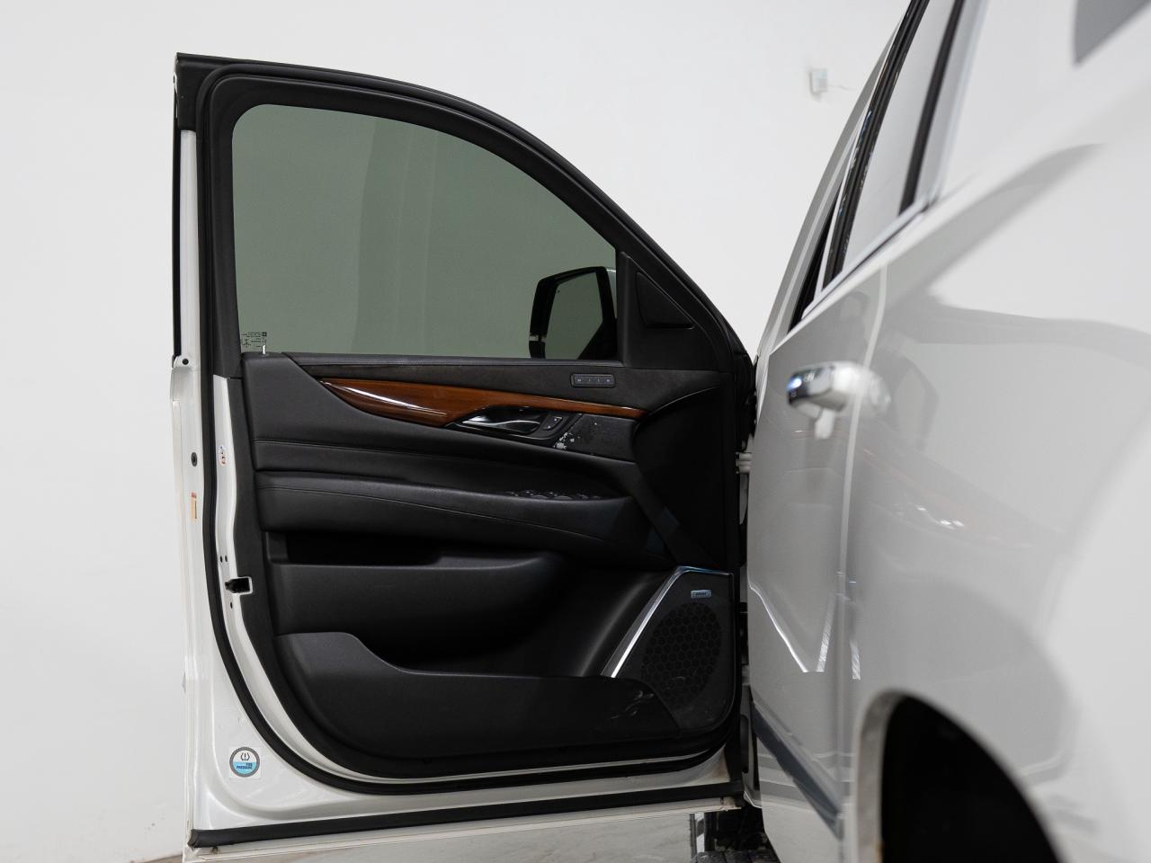 2019 Cadillac Escalade ESV PREMIUM LUXURY | ENTERTAINMENT PKG | 22 IN Photo