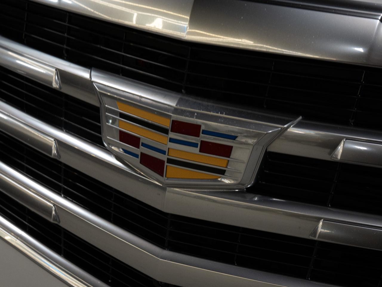 2019 Cadillac Escalade ESV PREMIUM LUXURY | ENTERTAINMENT PKG | 22 IN Photo