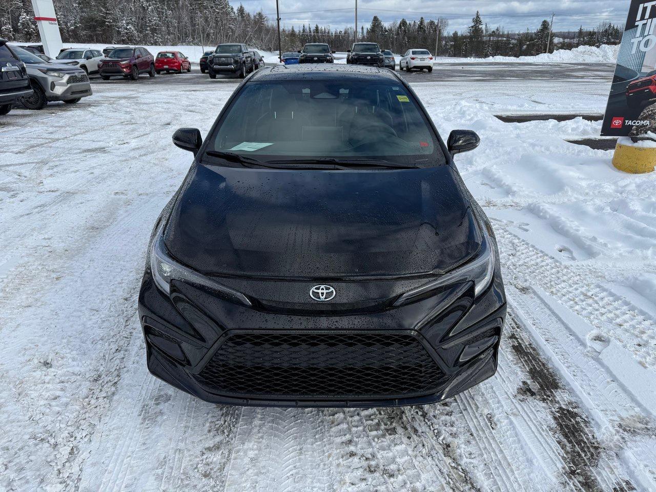 2026 Toyota Corolla XSE Photo1