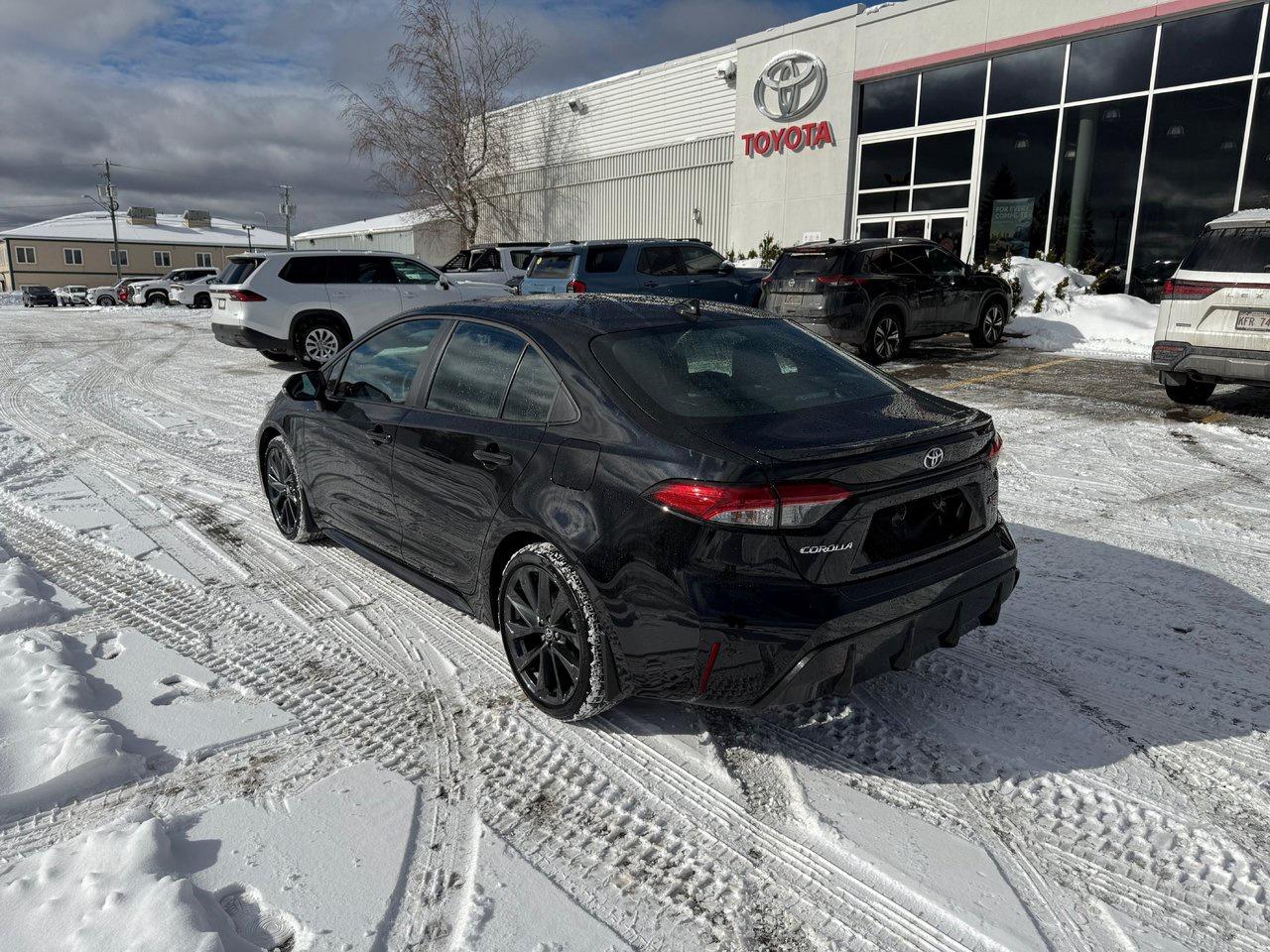 2026 Toyota Corolla XSE Photo