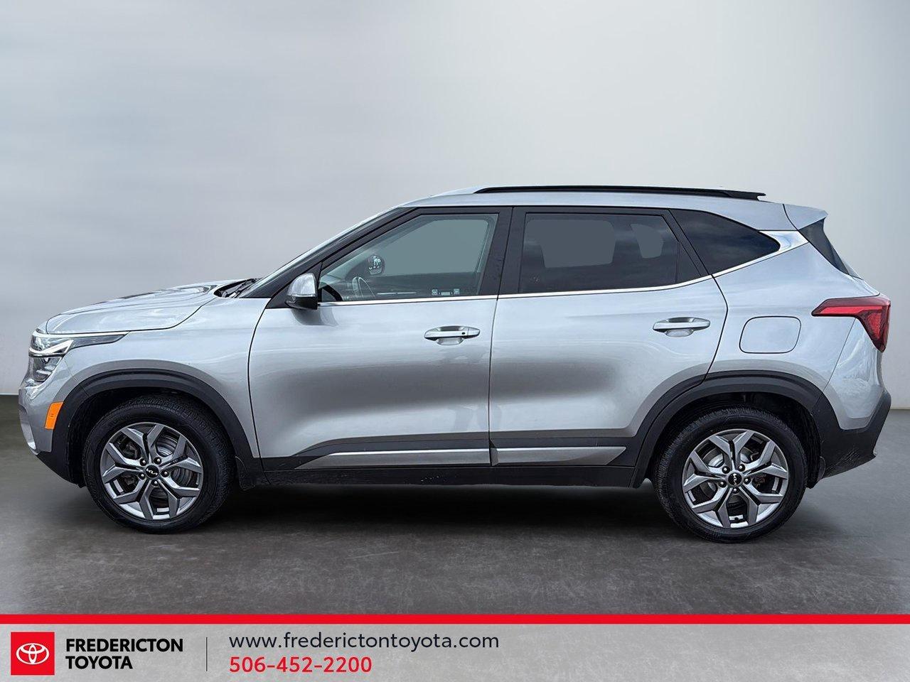 2025 Kia Seltos EX Photo