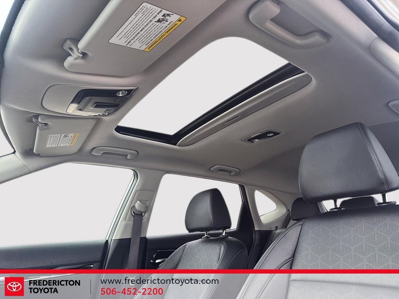 2025 Kia Seltos EX Photo