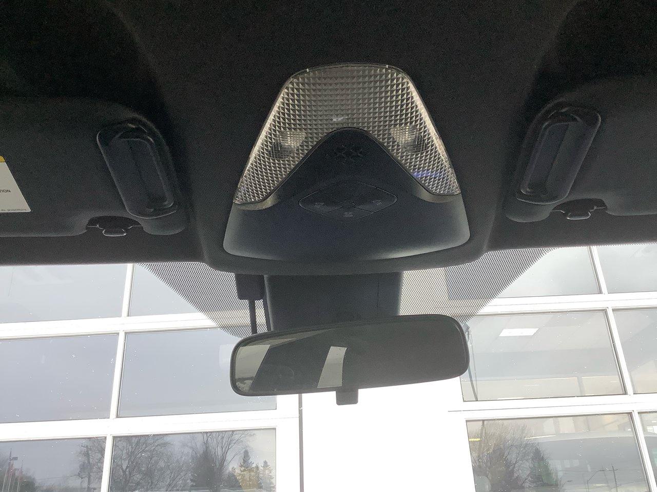 2021 Toyota C-HR  Photo