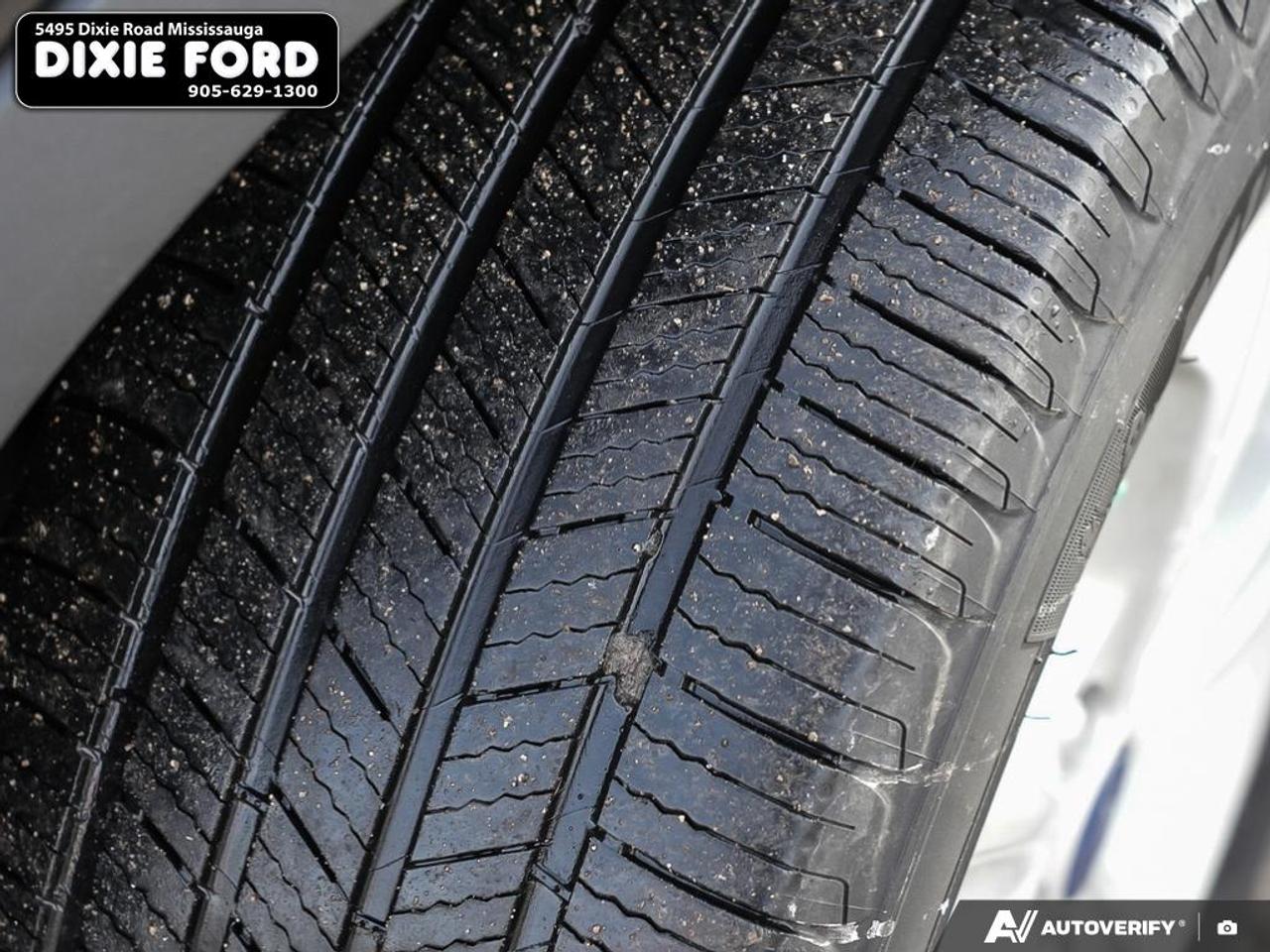 2014 Ford Escape SE Photo