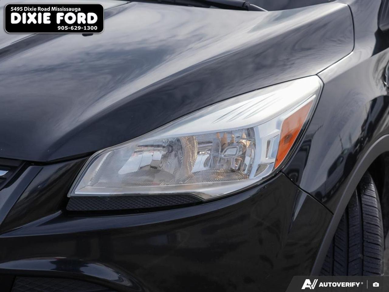 2014 Ford Escape SE Photo