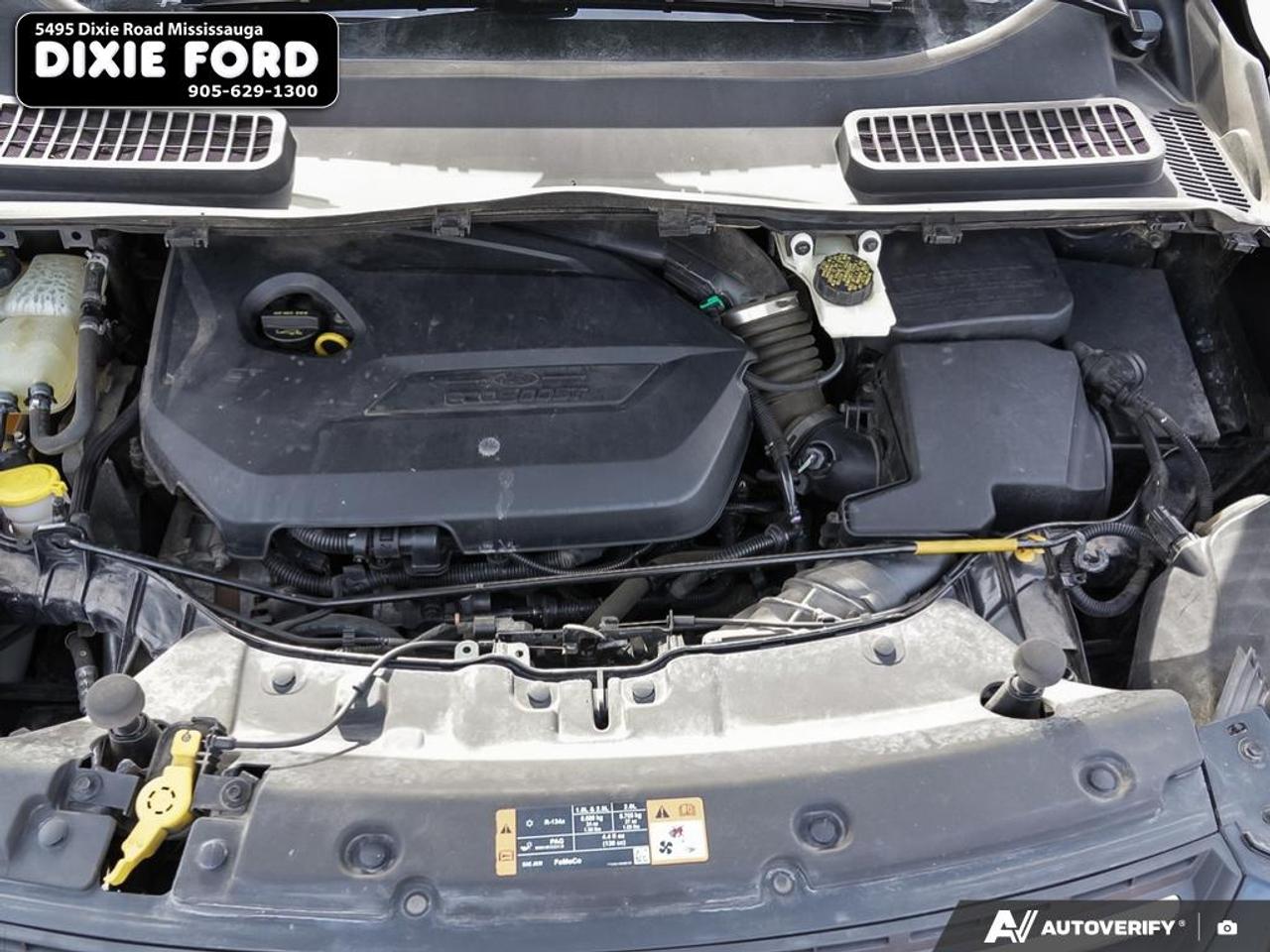 2014 Ford Escape SE Photo