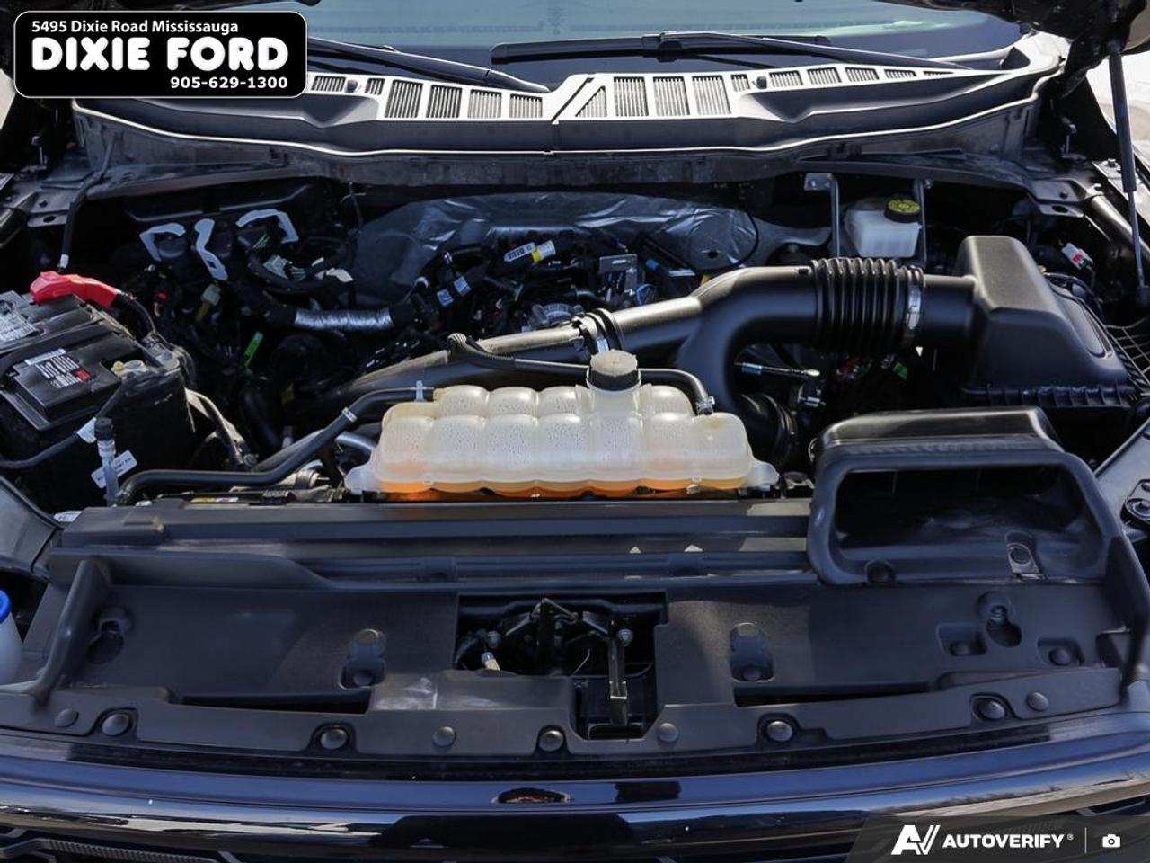2024 Ford F-150 XLT Photo