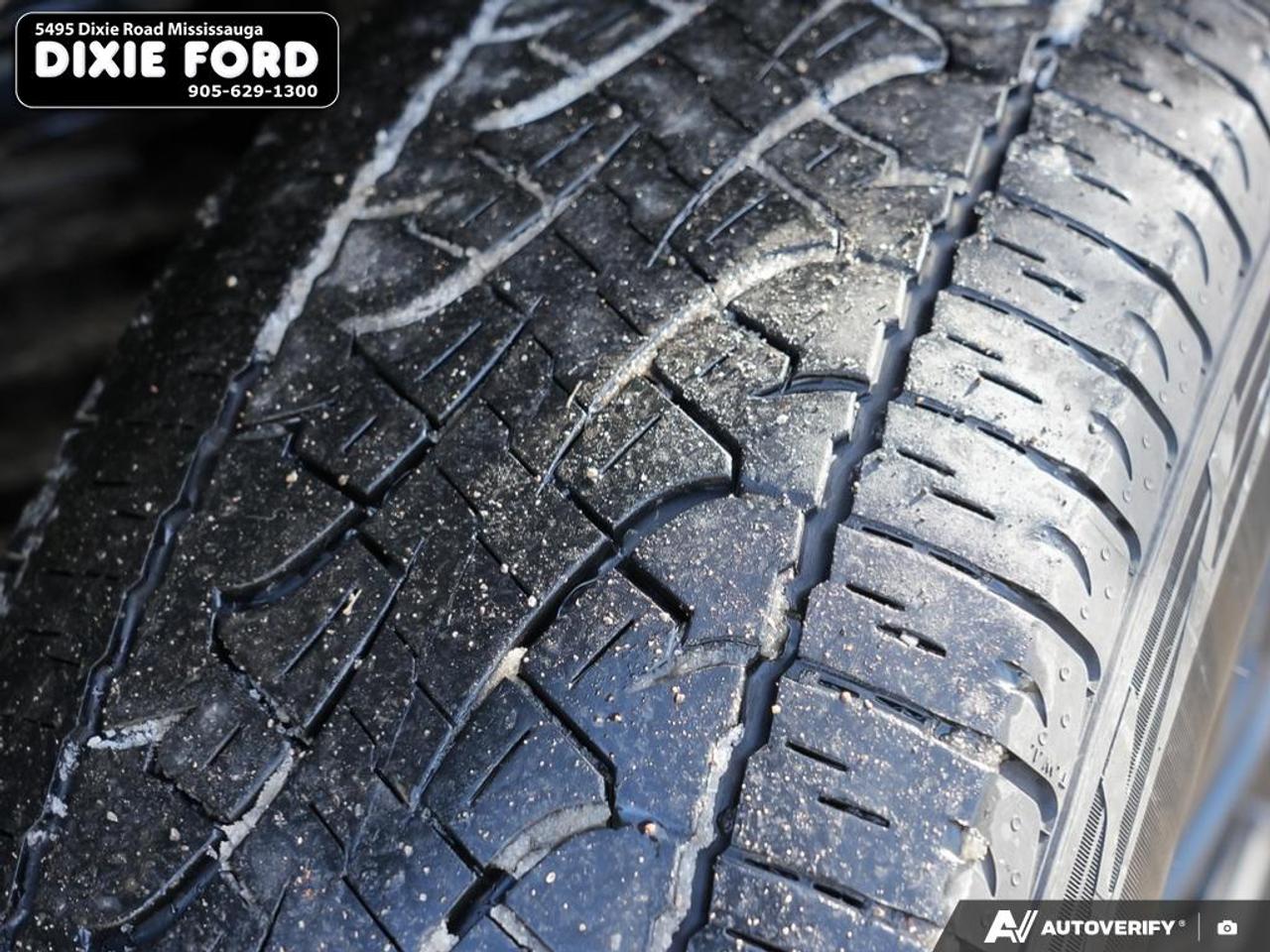 2024 Ford F-150 XLT Photo