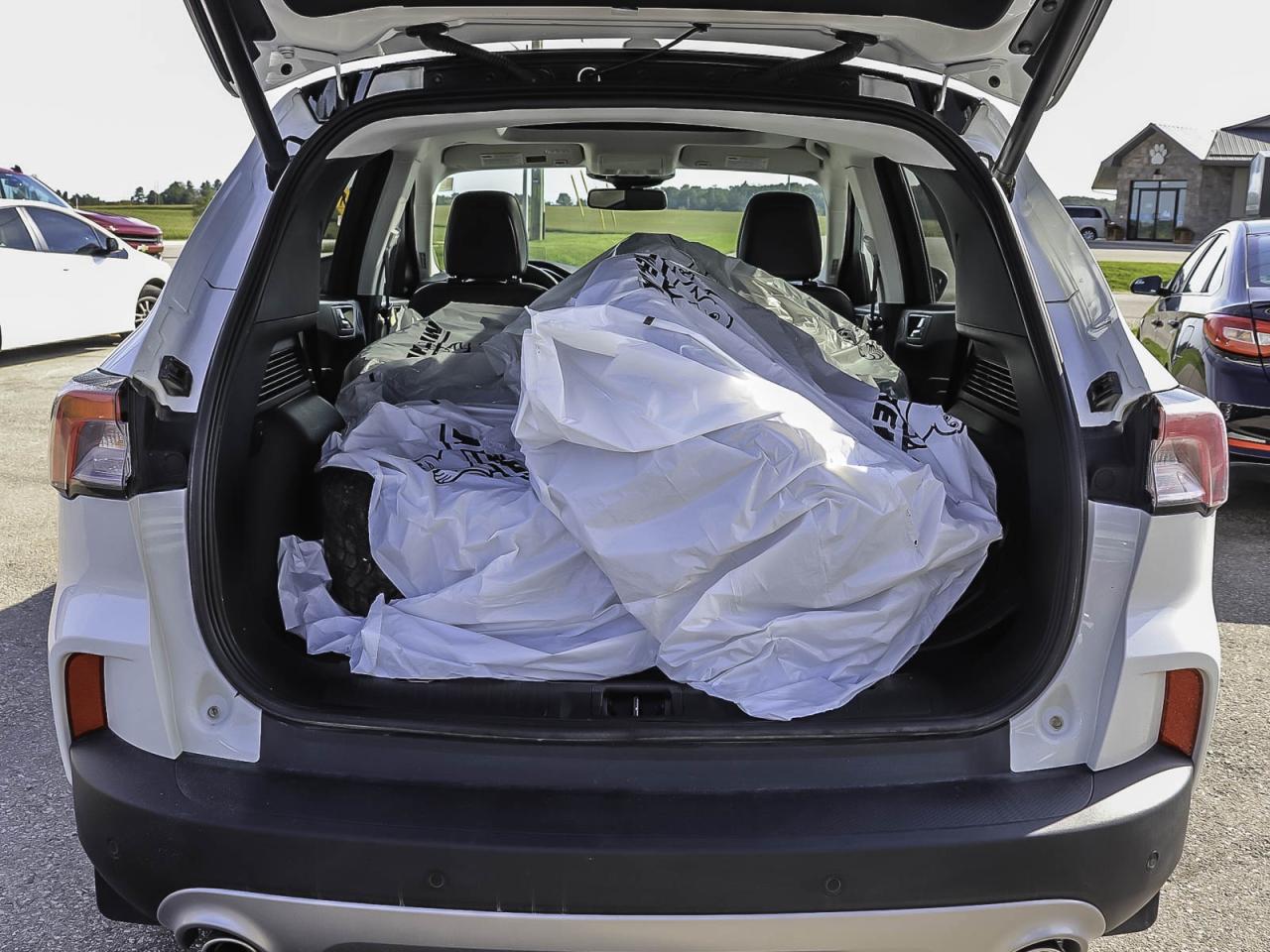 2021 Ford Escape Titanium Hybrid Photo