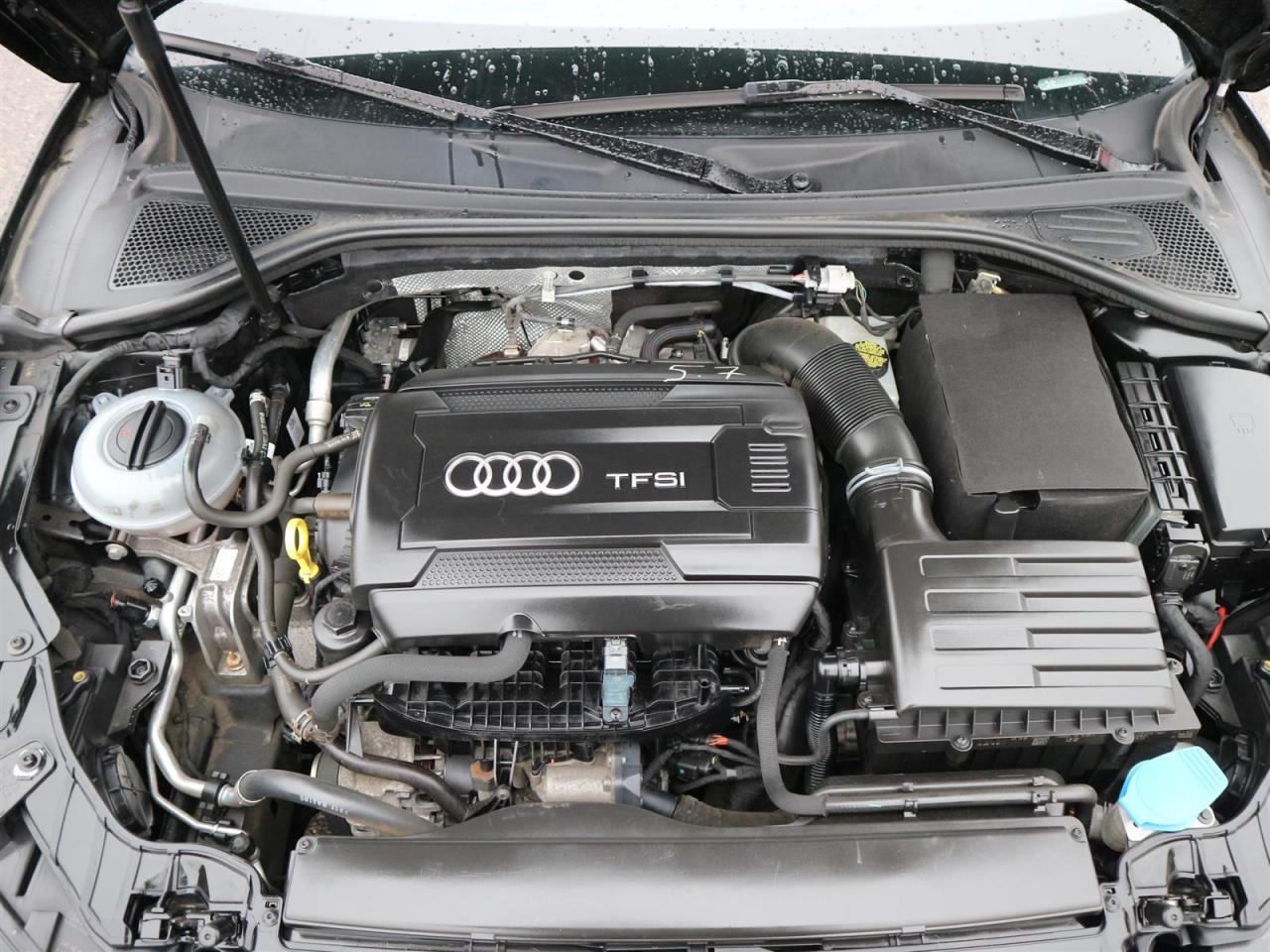 2017 Audi A3 2.0T Komfort quattro 6sp S tronic Cab Photo