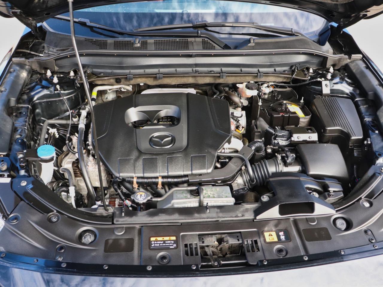 2024 Mazda CX-5 KURO EDITION- RED LEATHER, MOORNOOF, IACTIV SAFETY Photo