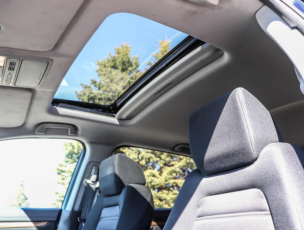 2019 Honda CR-V EX AWD Photo