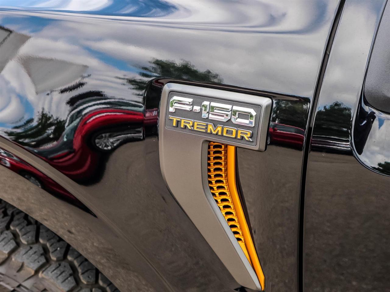 2022 Ford F-150 4x4 - Supercrew Tremor - 145'' WB Photo