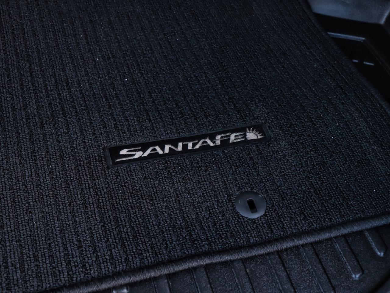 2016 Hyundai Santa Fe LIMITED Photo